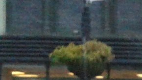 Caminantes en Nueva York.