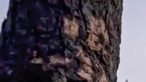 Se mantienen también los combates en la región de Zaporizhzhia.