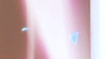 El 'zar de la belleza' es uno de los participantes favoritos del público esta temporada.