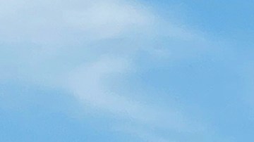 Con una grúa se transportó una camioneta GMC, que aún tenía manchas de sangre, con la que probablemente detuvo a los estadounidenses.