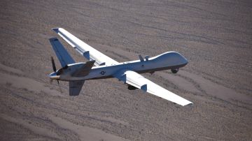El MQ-9 derribado, un dron que puede ir armado y diseñado para la vigilancia.