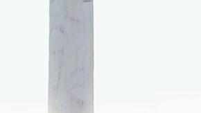 El buque de Salvamento Marítimo Guardamar Polimnia fue el responsable de rescatar a los 41 inmigrantes.