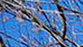 La Policía de Nashville confirmó la muerte de las seis personas.