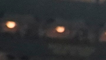 Aaron Rodgers,expresó su deseo de jugar con los NY Jets.