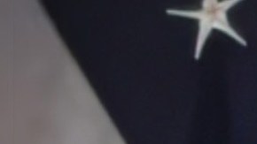 Ana Basaldua Fort Hood