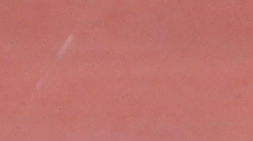 Atletas transgénero no podrán participar en competiciones femeninas.