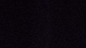 Esta escuela autónoma celebró en grande el mes de la historia negra con actividades extrecurriculares.