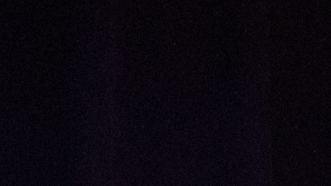 Esta escuela autónoma celebró en grande el mes de la historia negra con actividades extrecurriculares.