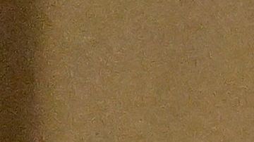 Argentino Diego Cocca asegura tener las cosas claras al frente de la selección de México