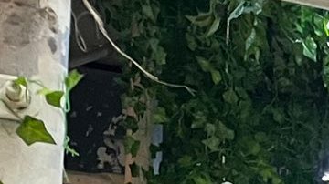 La última semana decenas de activistas han tomado dos empresas señaladas de estafas salariales en la Gran Manzana.