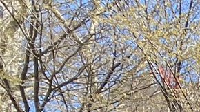 Este lunes familiares de víctimas y defensores exigieron la aprobación de medidas de control policial.