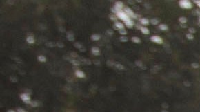 MEXICO-CRIME-VIOLENCE