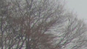 Magnitude 9.0 Earthquake And Tsunami Devastate Northern Japan