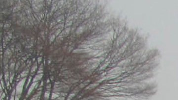 Magnitude 9.0 Earthquake And Tsunami Devastate Northern Japan