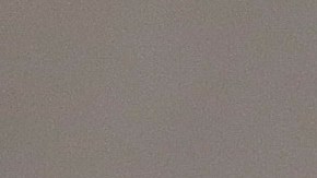 Las legislaciones que discutirán buscan fortalecer la responsabilidad de la policía de Nueva York cuando se presenten este tipo de llamadas.