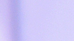 El actor Bruce Willis celebró su cumpleaños número 68 rodeado de sus seres queridos.