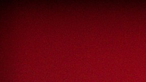 China insiste en oponerse a "cualquier tipo de manipulación política" sobre el origen de la covid.