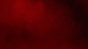 Ahora Molina intentará lidiar con la homofobia que se ve en la UFC.