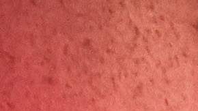 TOPSHOT-MEXICO-HEALTH-VIRUS-RED CROSS