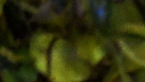 Cientos de turistas y visitantes se encontraban en el área al momento del tiroteo.