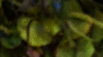 Cientos de turistas y visitantes se encontraban en el área al momento del tiroteo.