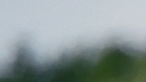 Policía estatal de Tamaulipas