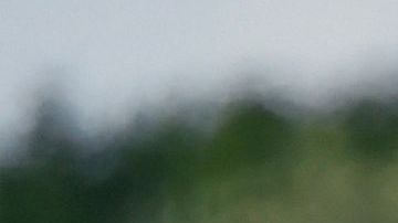 Policía estatal de Tamaulipas