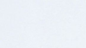 Invierno y flores de cerezo en Washington D.C.