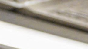 despensa de alimentos en Nueva York