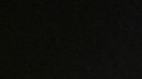 Pékerman dirigió a La Vinotinto durante un año y tres meses. / Foto: Getty Images