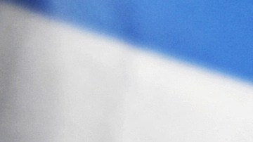 TOPSHOT-HONDURAS-COUP-OAS-TALKS