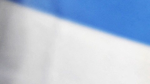 TOPSHOT-HONDURAS-COUP-OAS-TALKS