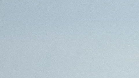 Kevin Greenidge murió a bordo de un vuelo de American Airlines.