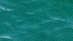 El tiburón le mordió la mano izquierda y nuevamente por detrás de la rodilla.