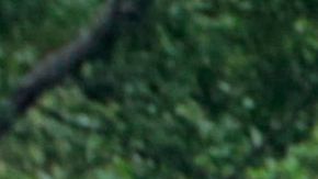 NICARAGUA-ACCIDENT-MIGRATION