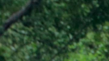 NICARAGUA-ACCIDENT-MIGRATION