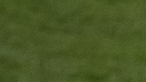 El delantero mexicano reveló que es fanático de Boca Juniors y San Lorenzo en la liga de fútbol de Argentina.