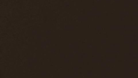 MEXICO-US-DIPLOMACY-SECURITY-SALAZAR