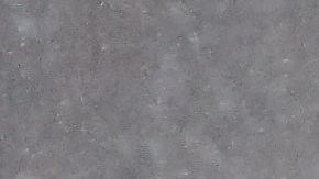 Es probable que el oso grizzly sea un macho.