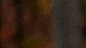 Arrestan a Patrick Wojahn alcalde de una ciudad universitaria de Maryland.