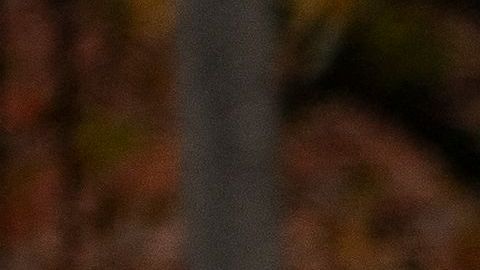 Arrestan a Patrick Wojahn alcalde de una ciudad universitaria de Maryland.