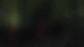 Weston McKennie anotó dos goles para la victoria estadounidense.