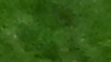 Luis Enrique durante el Mundial de Qatar 2022. / Foto: Getty Images