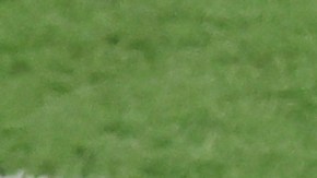 Mbappé será el capitán de Francia. /Foto: Getty Images