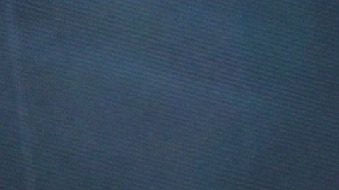 Los guantes usados por Dibu Martínez alcanzaron la suma de $45,000 dólares en una transmisión de más de 30,000 personas.