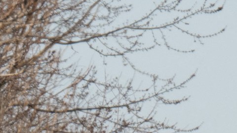 La Agencia de Protección Ambiental no ha detectado ningún nivel de preocupación para la salud.