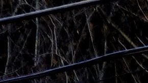 US-SHOOTING-ENVIRONMENT-PROTEST