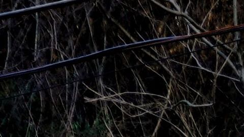 US-SHOOTING-ENVIRONMENT-PROTEST