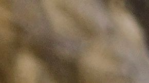 US-SHOOTING-ENVIRONMENT-PROTEST