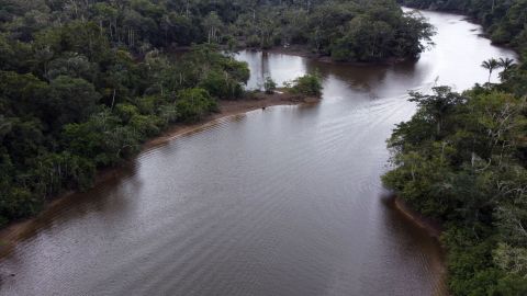 Selva amazónica de Bolivia